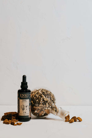 Chaga Extract Mushroom Tonic (50ml) Chaga Extract Mushroom Tonic (50ml)