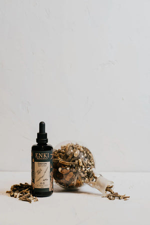 Cordyceps - High Potency Spagyric (50ml) Cordyceps - High Potency Spagyric (50ml)