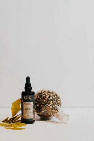 Lion's Mane Extract Mushroom Tonic (50ml) Lion's Mane Extract Mushroom Tonic (50ml)