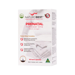 Prenatal Trimester One with Ginger Prenatal Trimester One with Ginger