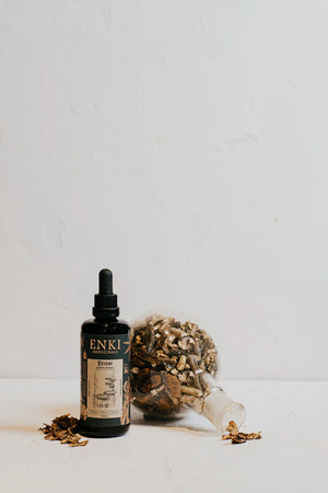 Reishi Extract Mushroom Tonic (50ml) Reishi Extract Mushroom Tonic (50ml)