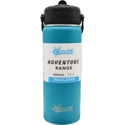 Stainless Steel Bottle Adventure Insulated Slate 600ml