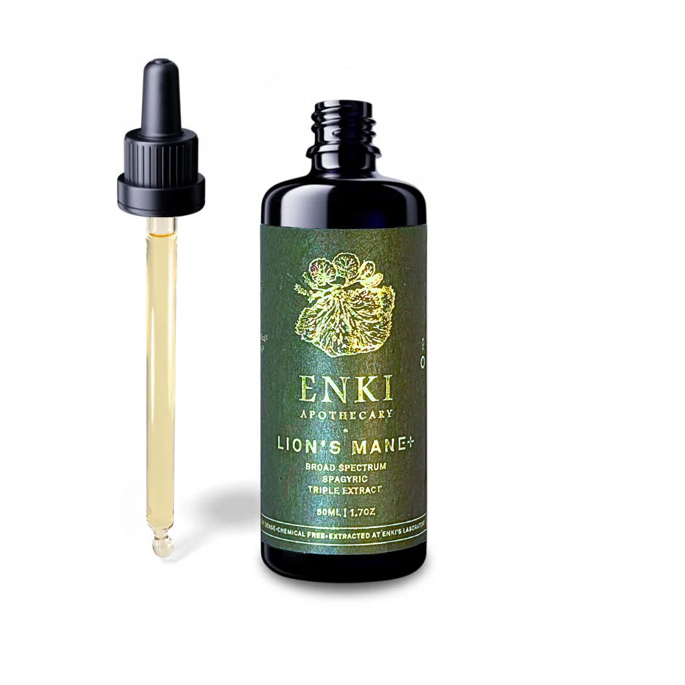 Lion's Mane Spagyric Tincture (50ml)