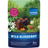 Wild Blueberry Powder Certified Organic